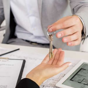 Probate Litigation